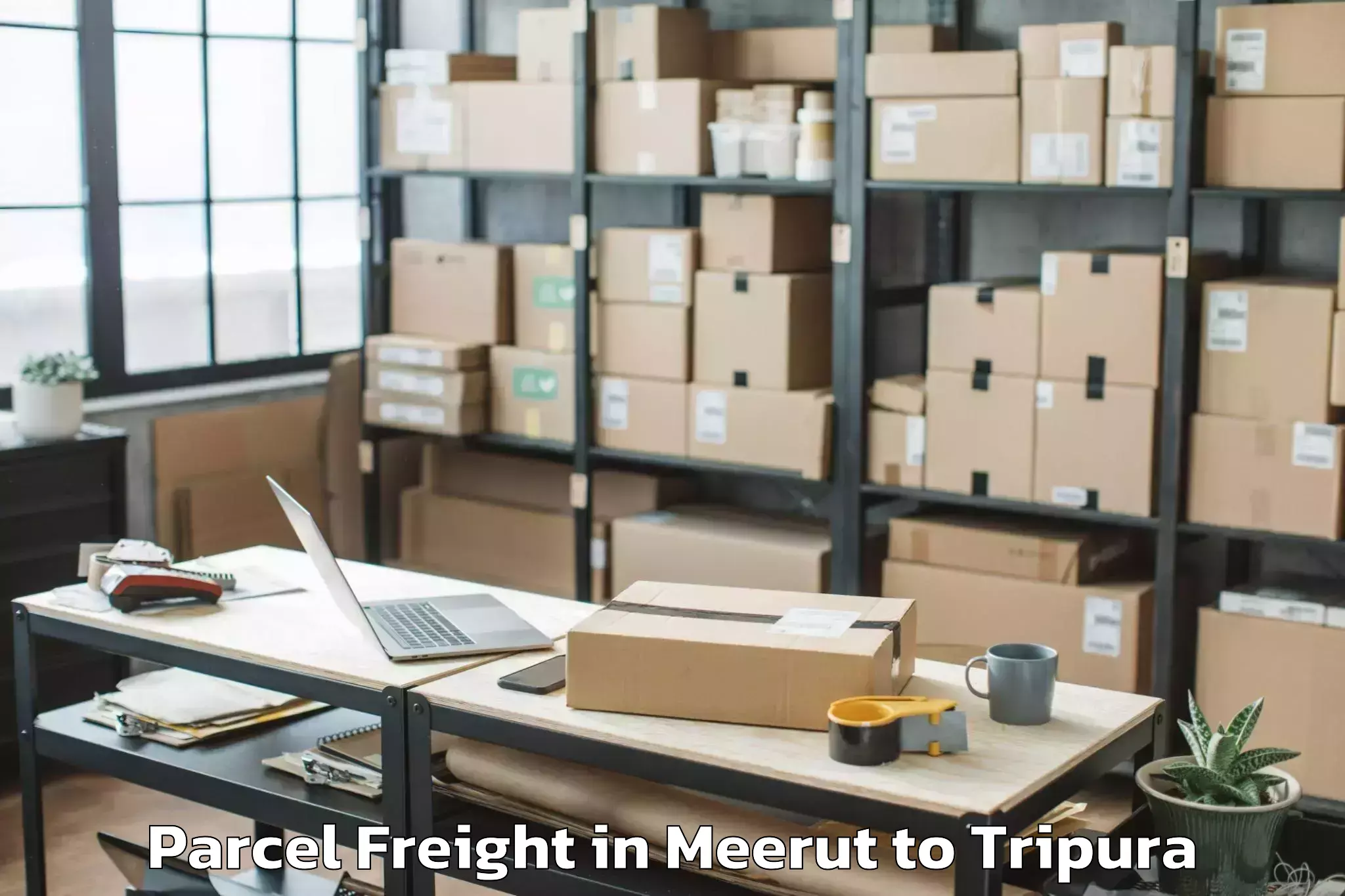 Professional Meerut to Iiit Agartala Parcel Freight